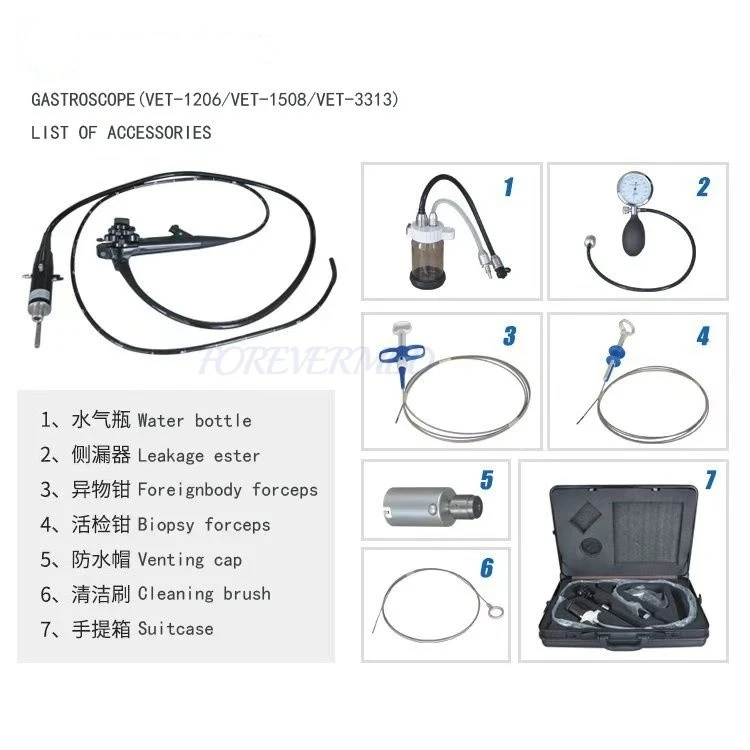 Endoscope Veterinary best