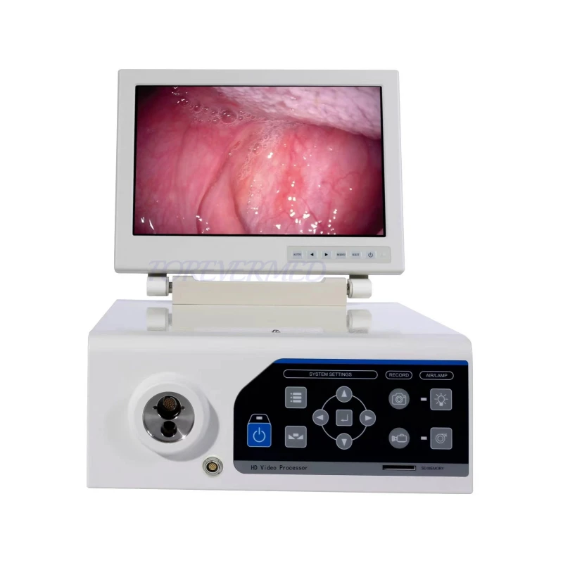 Endoscope Veterinary factory