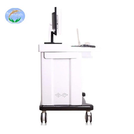 Trolley Ultrasound Scanner With Workstation